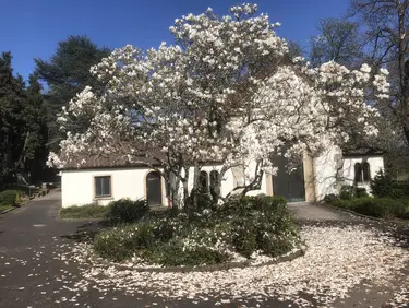 Die Haardter Trauerhalle im Frühling
