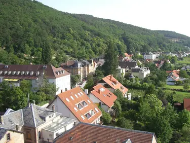 Blick vom Kirchturm entlanf des Haardtrandes über das Dorf