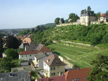 Blick vom Kirchturm zum Haardter Schloss